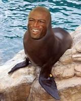 SealTulenTelnyaxa